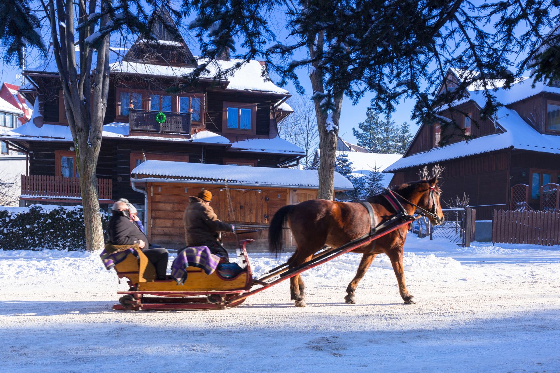 Horse cart ride in snowy Zakopane, Poland