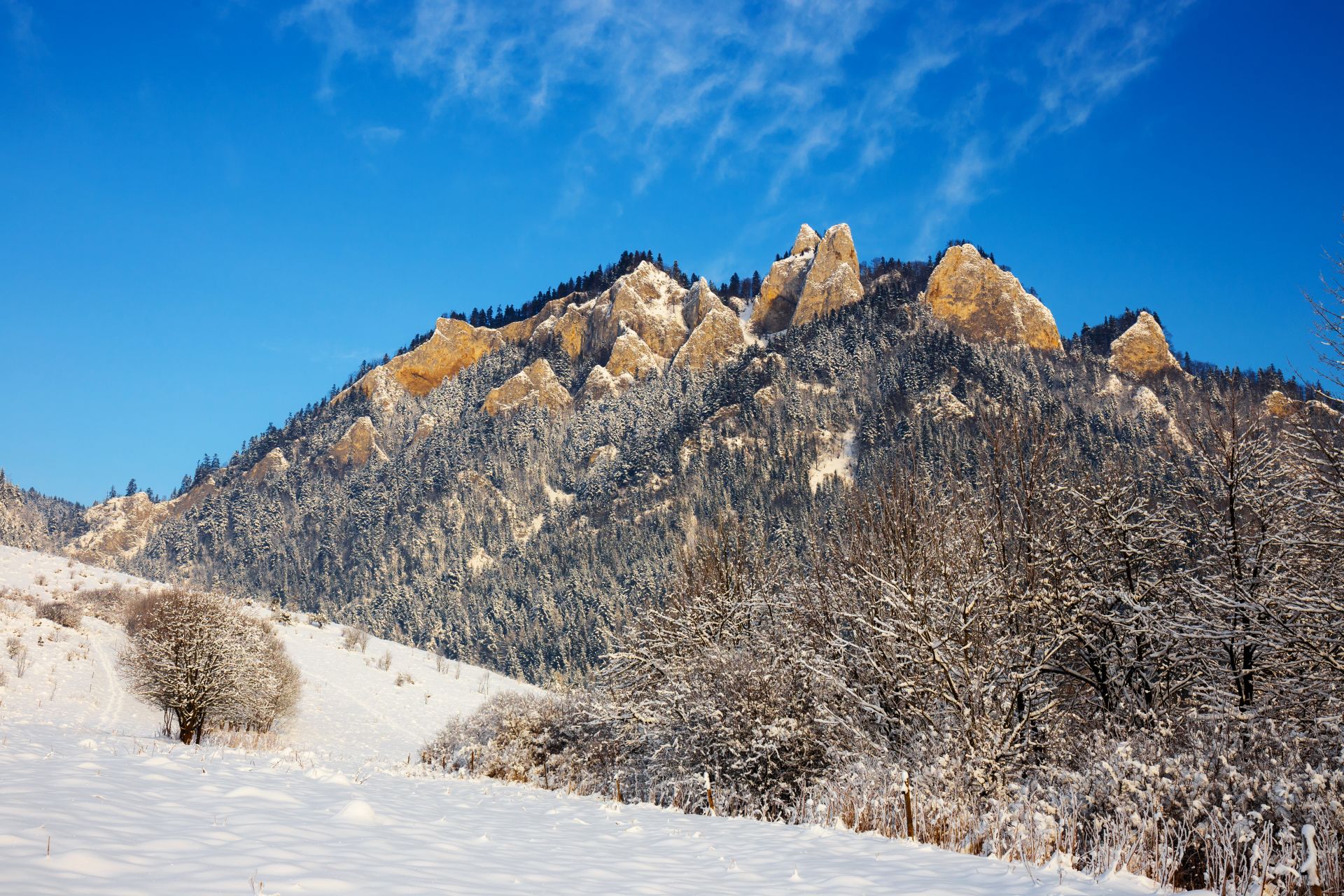 Winter landscape in Pieniny Mountains, Three Crowns, Poland